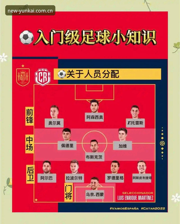 世界杯观赛受阻？球迷签证问题实用应对指南
